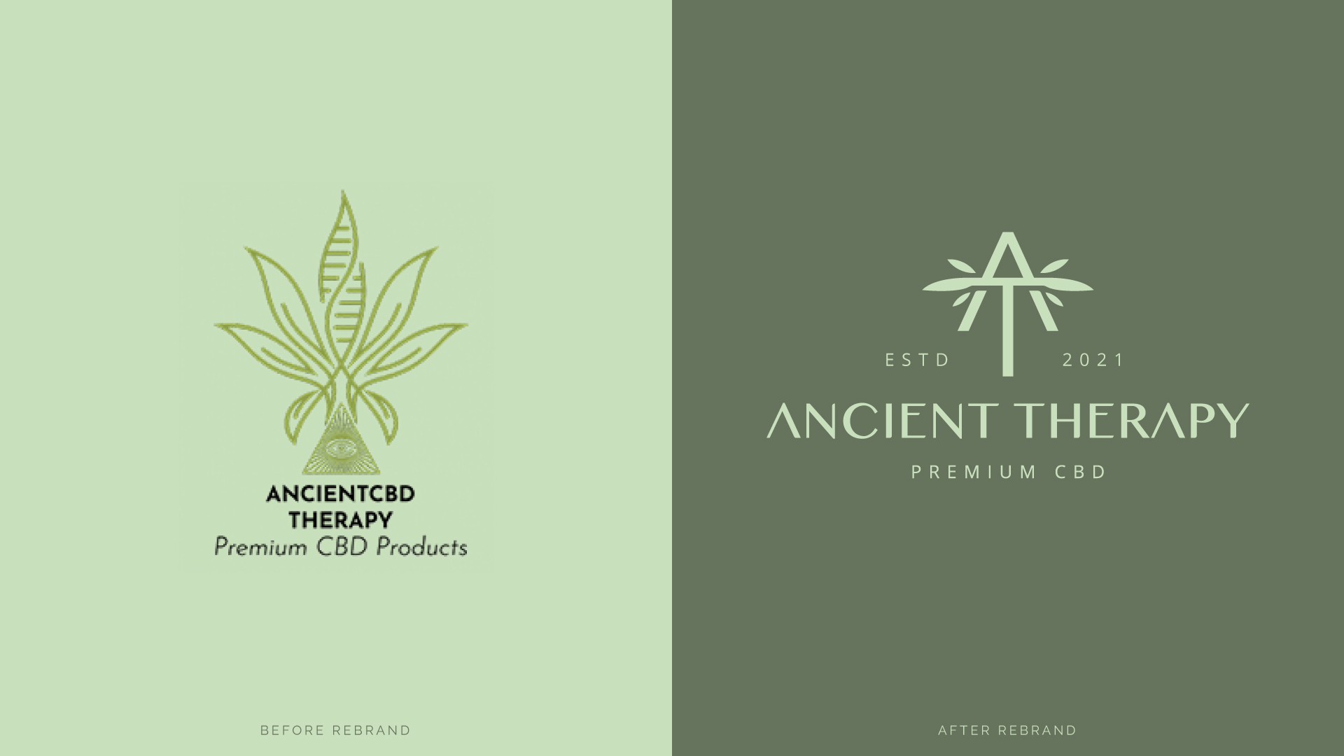 Ancient Therapy Before and After